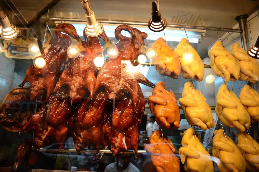 金源燒腊茶餐廳 photo 2