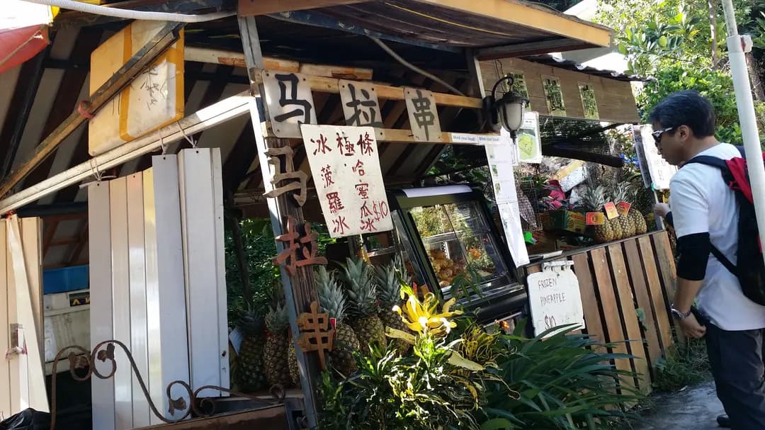 馬拉串 photo 7