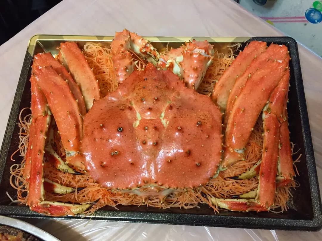 新幹線刺身外賣專門店 photo 3