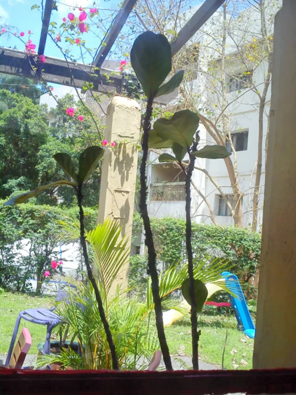 絲綢之路咖啡室 photo 7