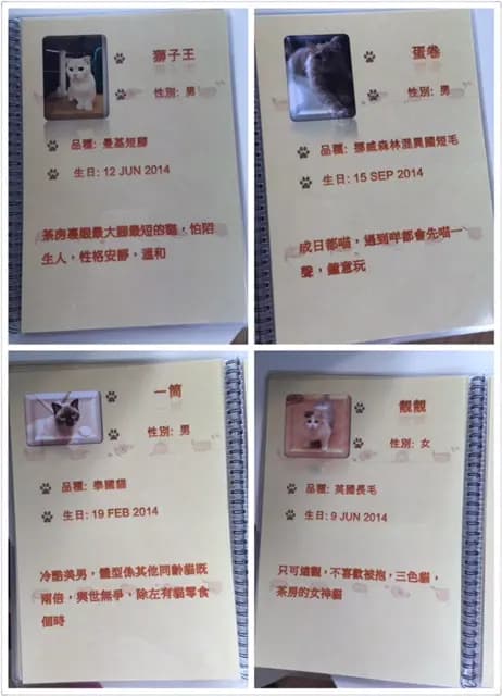 貓之茶房 photo 4