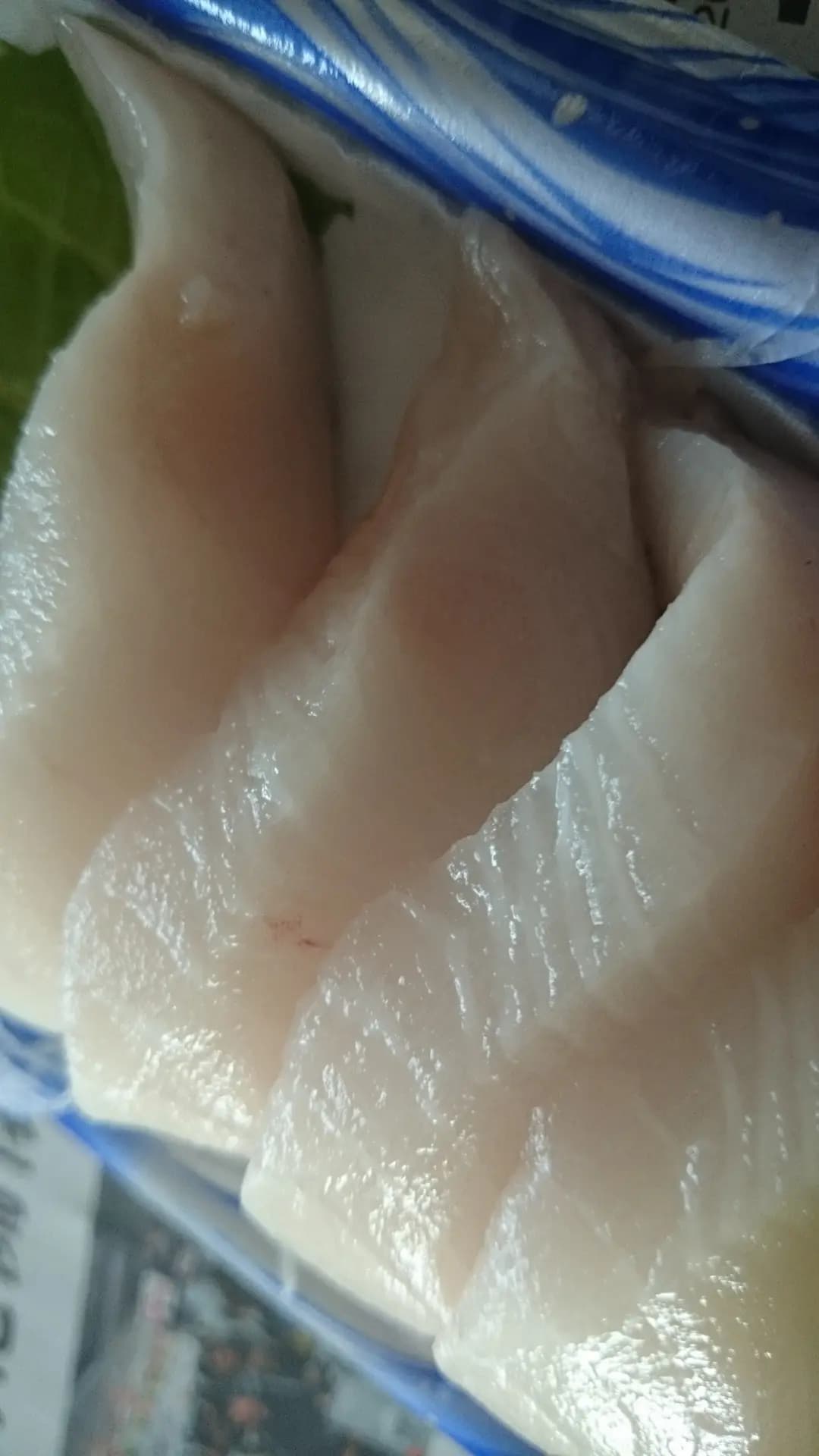 魚光 photo 5