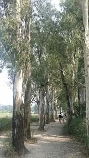 南生圍士多 photo 6