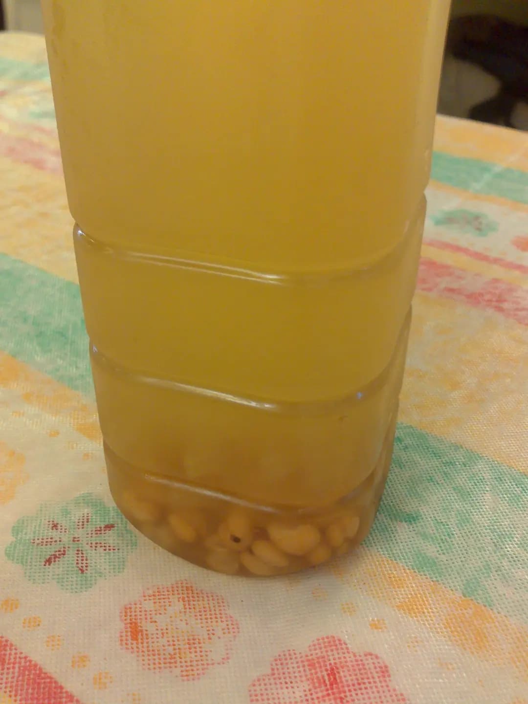 范湯皇 photo 4