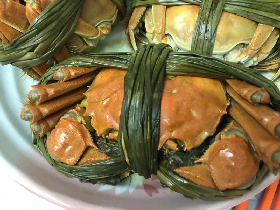 老三陽 photo 5