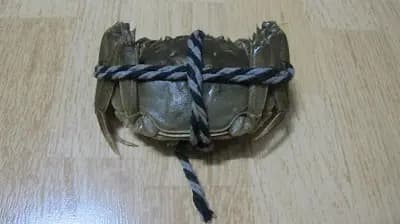 廣隆行 photo 4