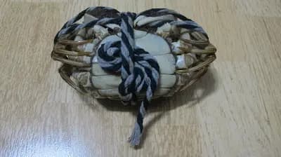 廣隆行 photo 6