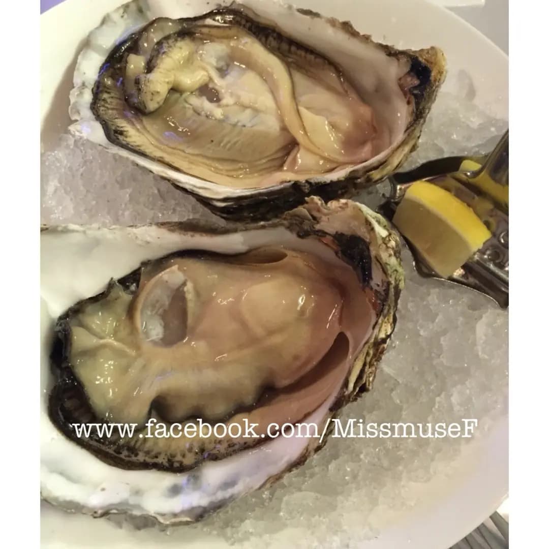 Ferry Point Oyster 蠔吧 photo 7