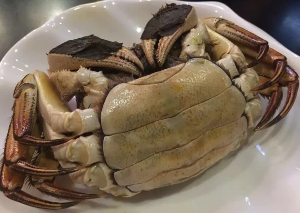 江記大閘蟹專門店 photo 3
