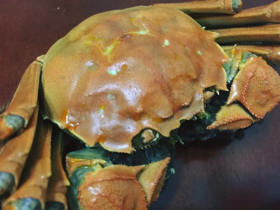 江記大閘蟹專門店 photo 6