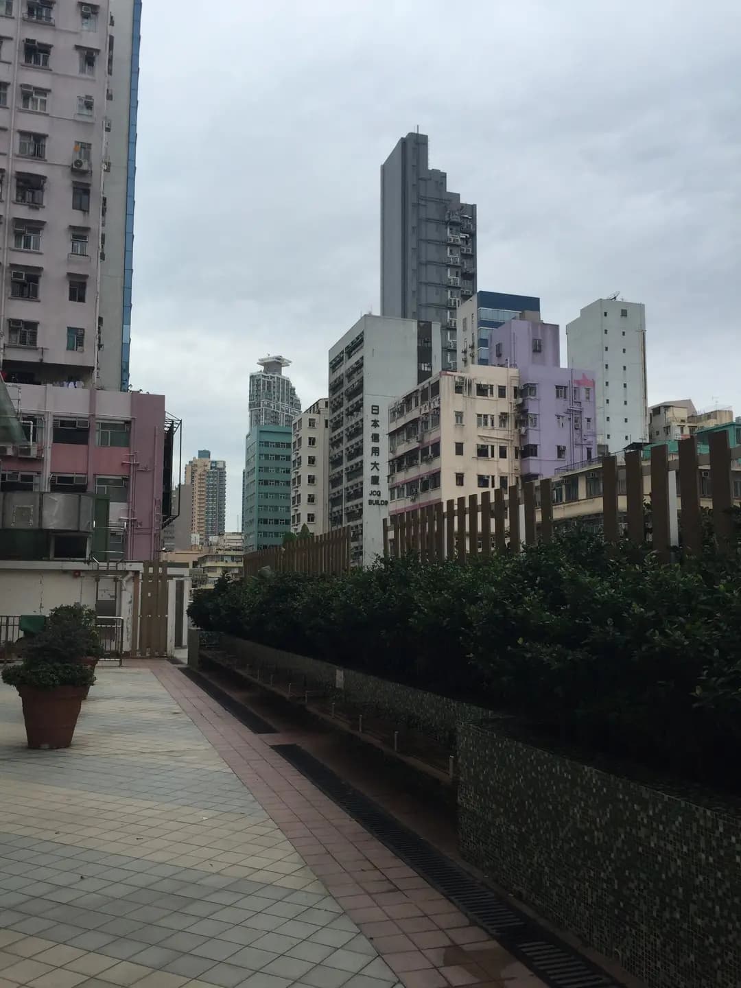 樹輝咖啡 photo 8