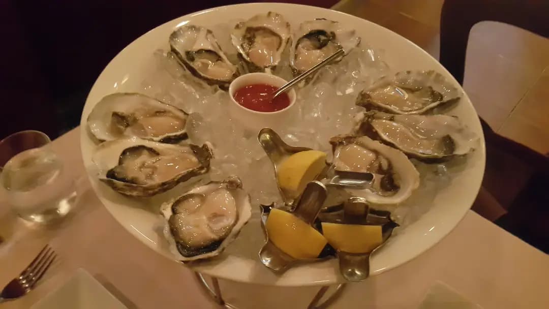 Oyster Talks photo 4