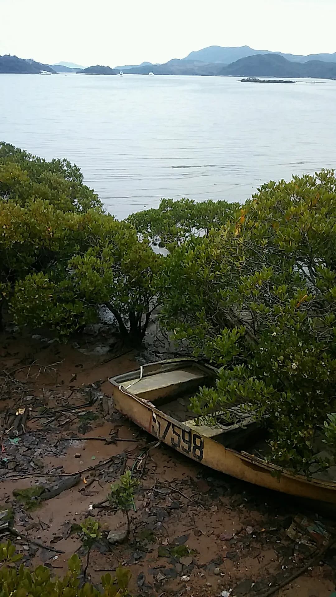 百合園林海景燒烤場 photo 2