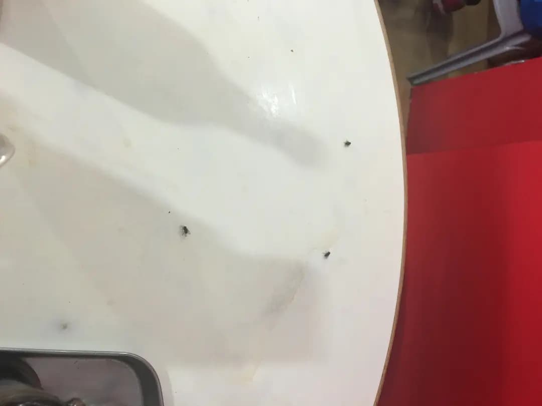 勵揚餐飲小食 photo 5