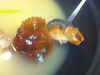 新南苑私房菜火鍋鷄煲 (華僑商業中心) photo 4