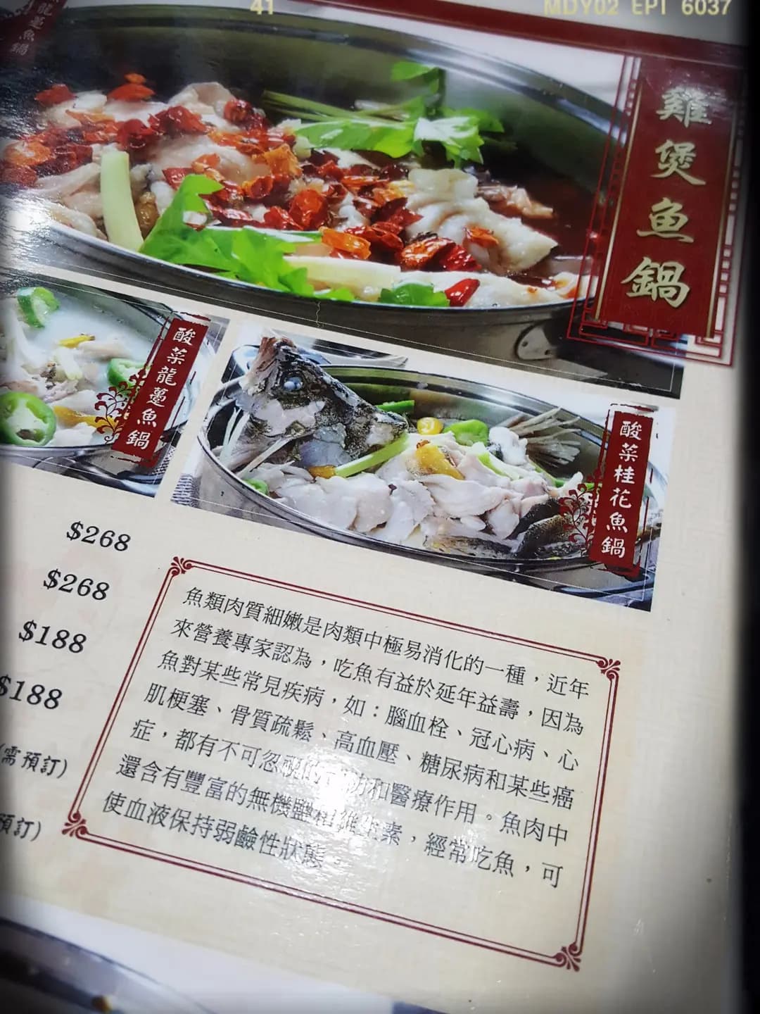 金樂軒雞煲魚鍋 photo 1