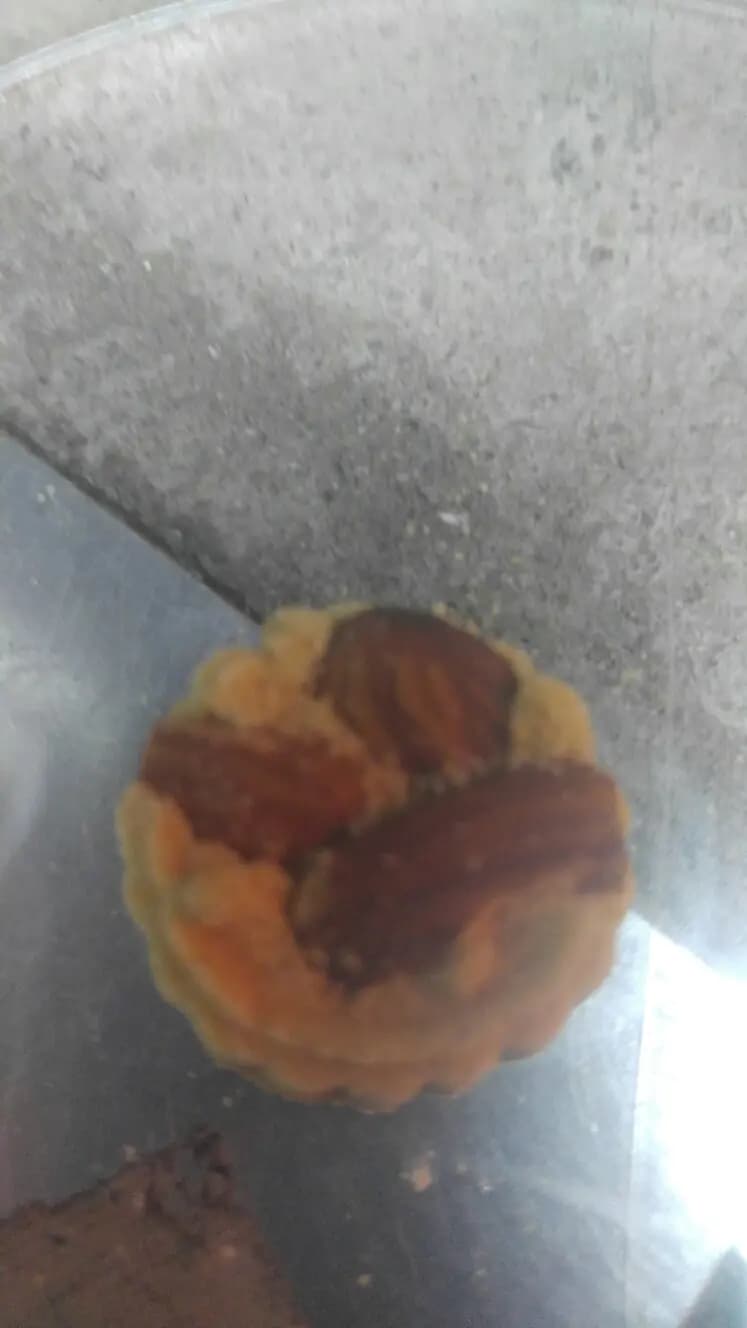澳門鳳城手信 photo 3
