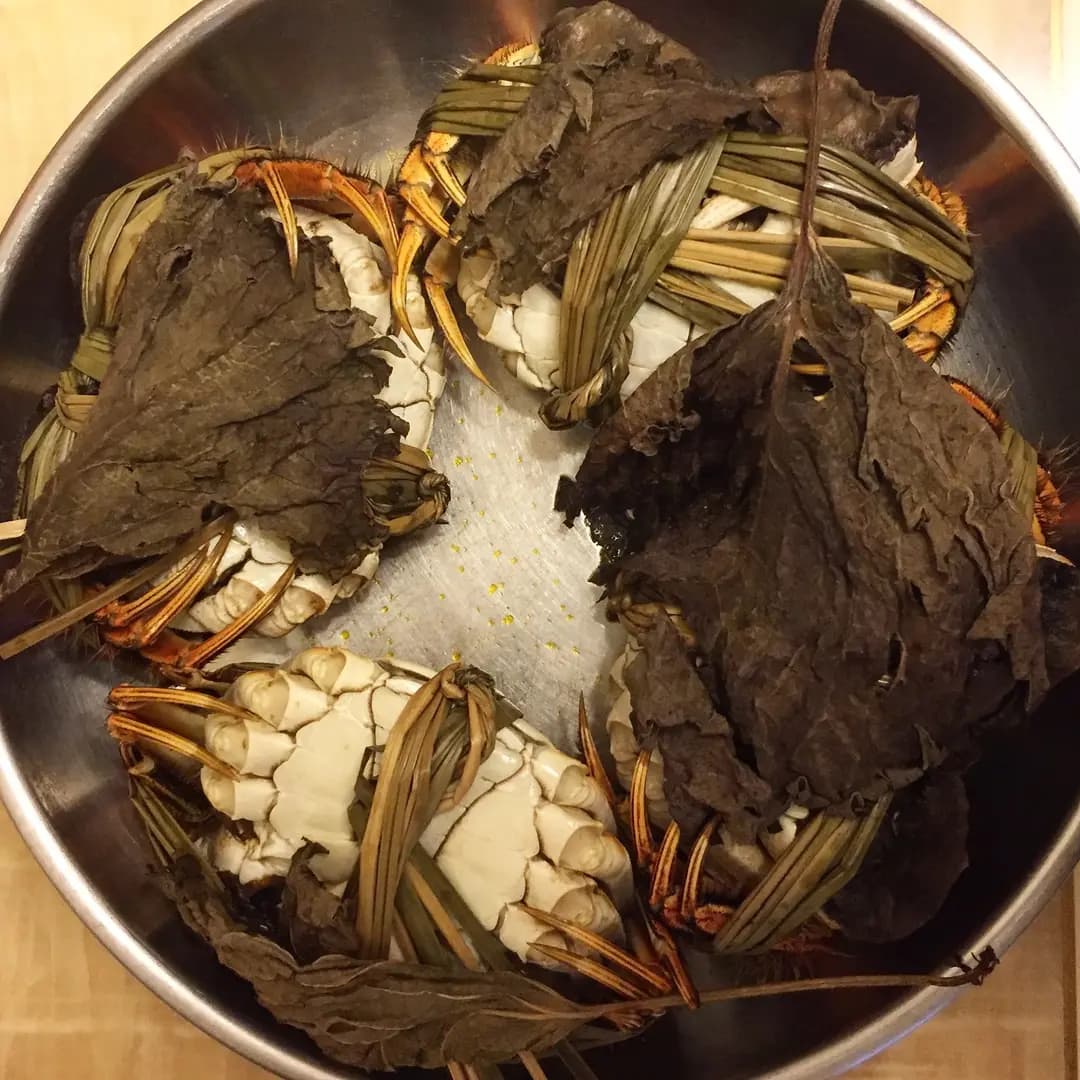 成隆行 photo 2