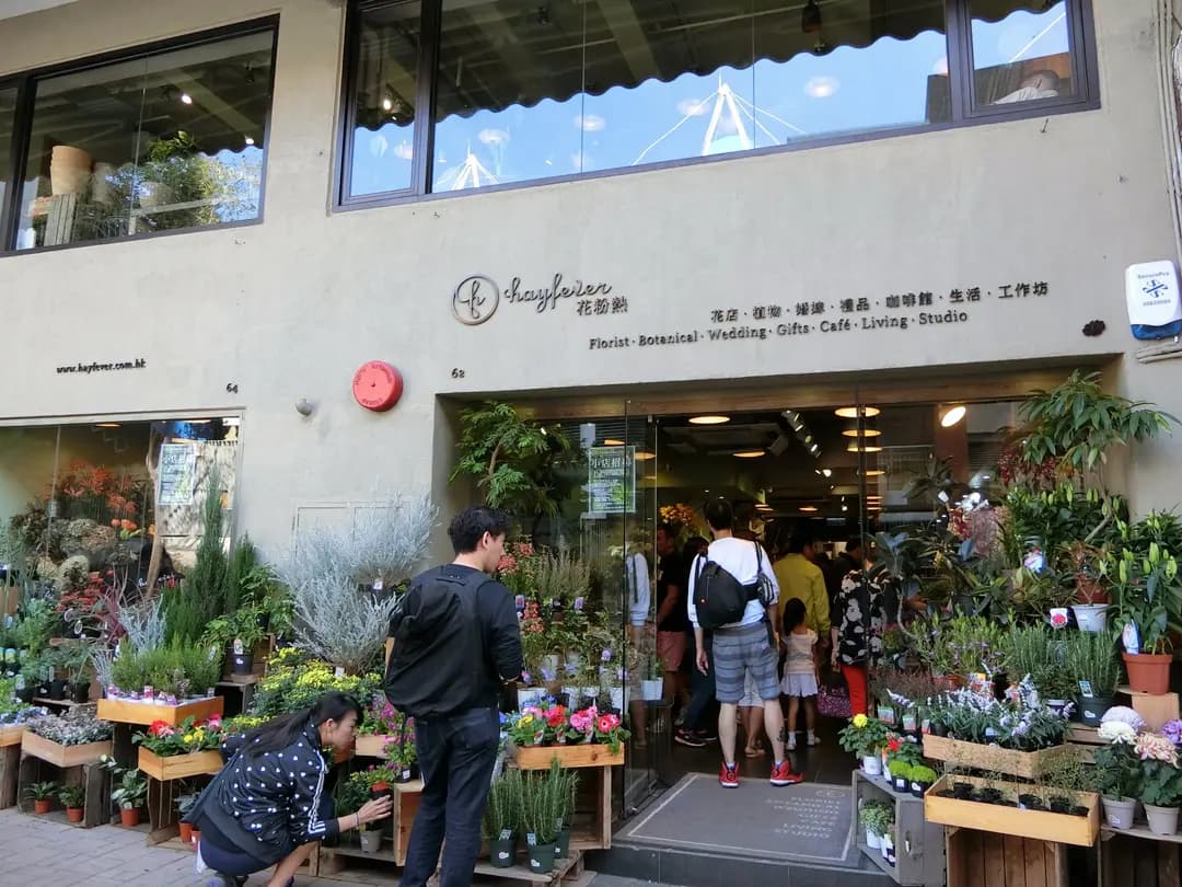 花粉熱 photo 6