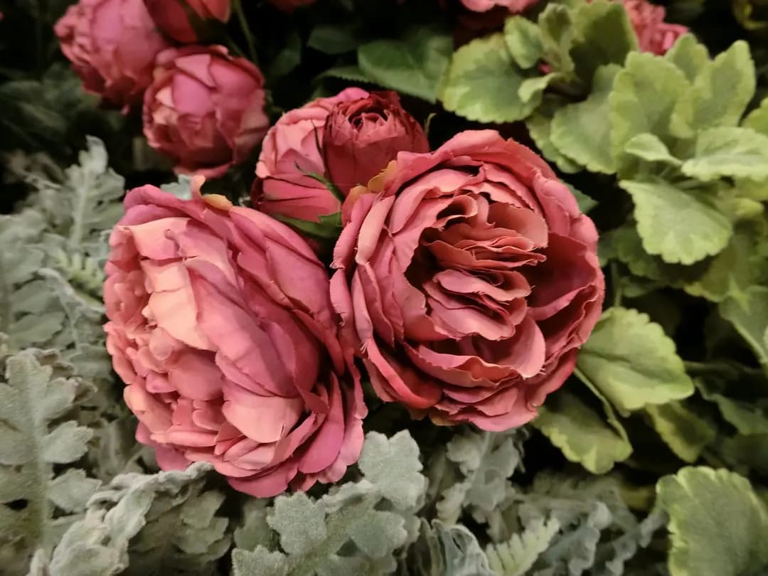 花粉熱 photo 8