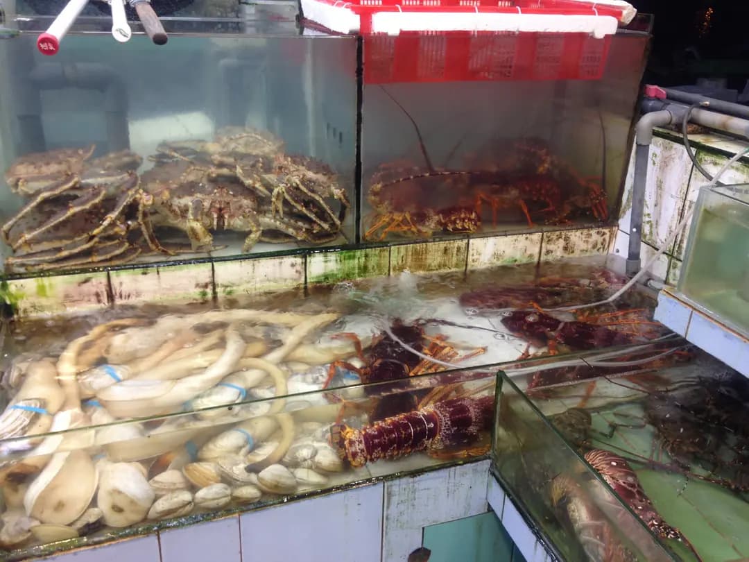 美和漁港海鮮 photo 4
