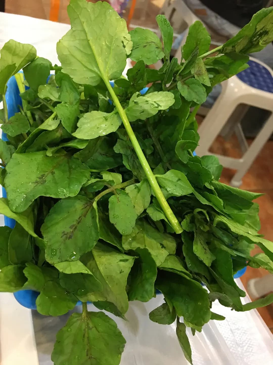 天天雞煲火鍋專門店 photo 8