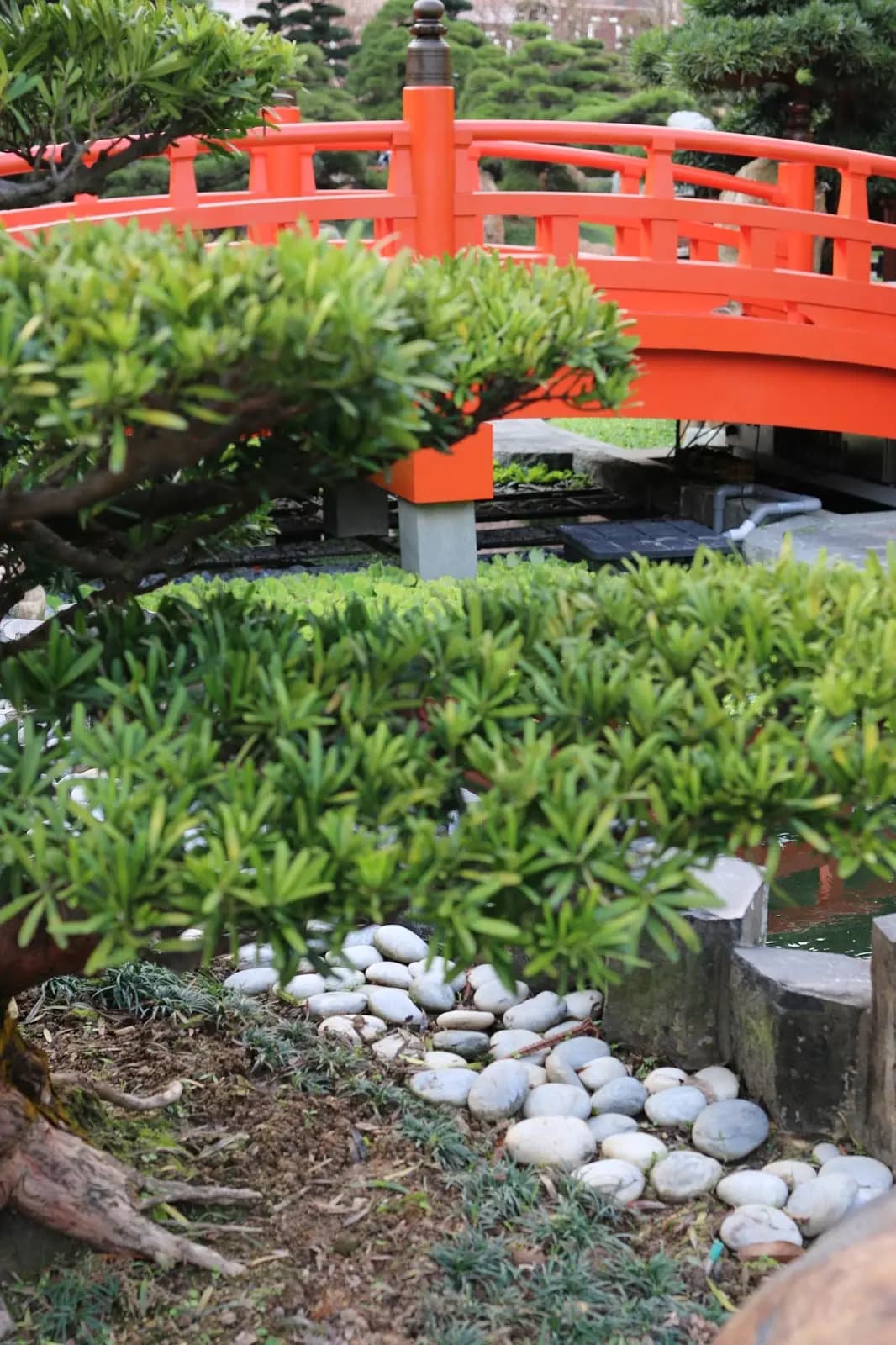 唐風小築小食屋 photo 3