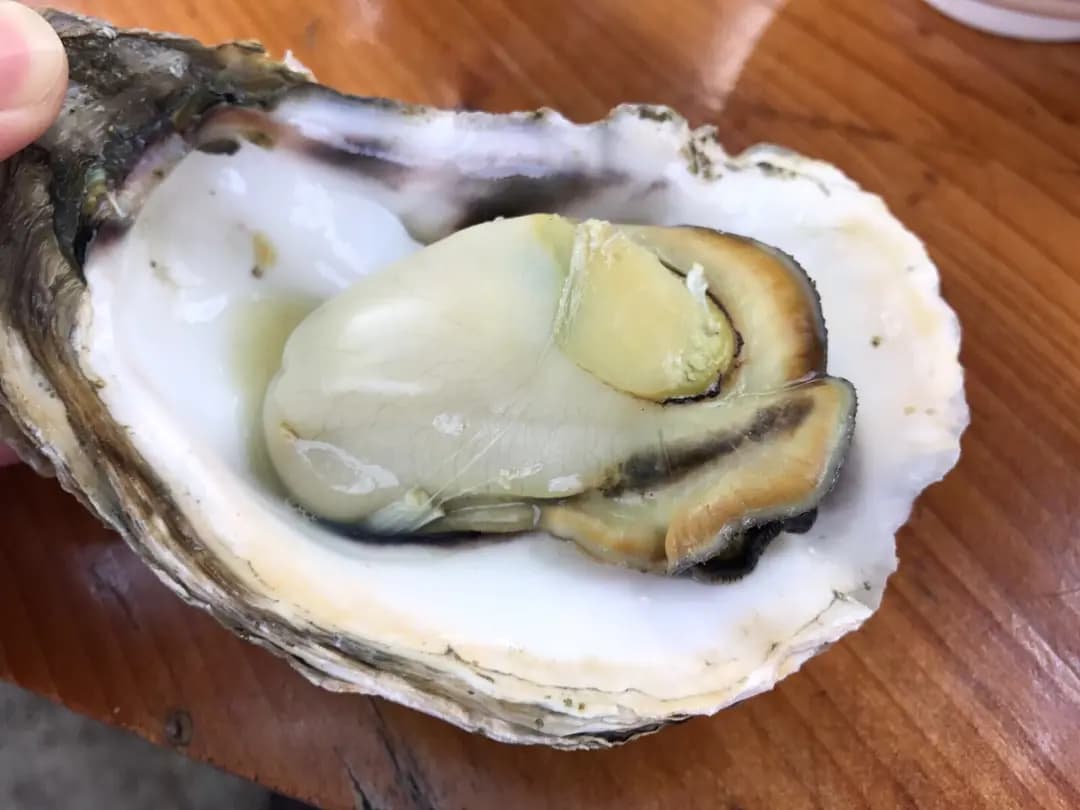 松記士多-海鮮及私房菜 photo 6