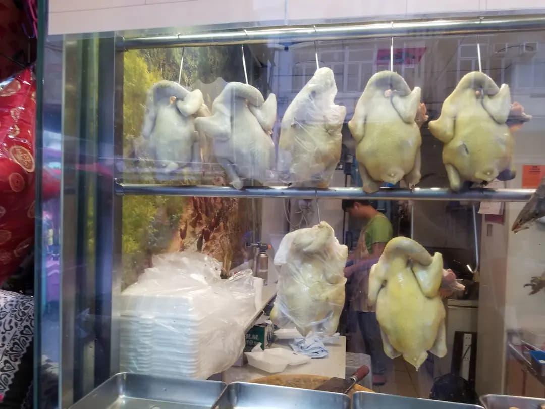 鳳翔清遠雞 photo 4