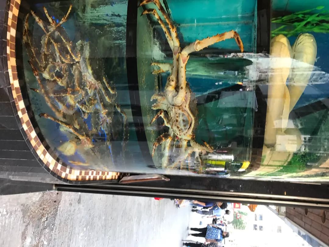 新幹線刺身外賣專門店 photo 8