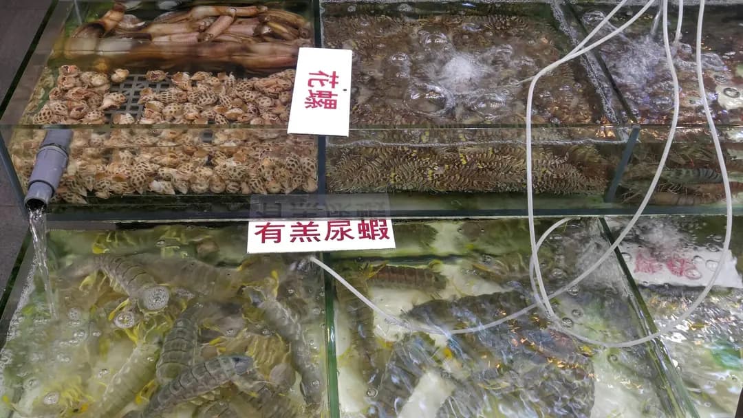安記海鮮 photo 2
