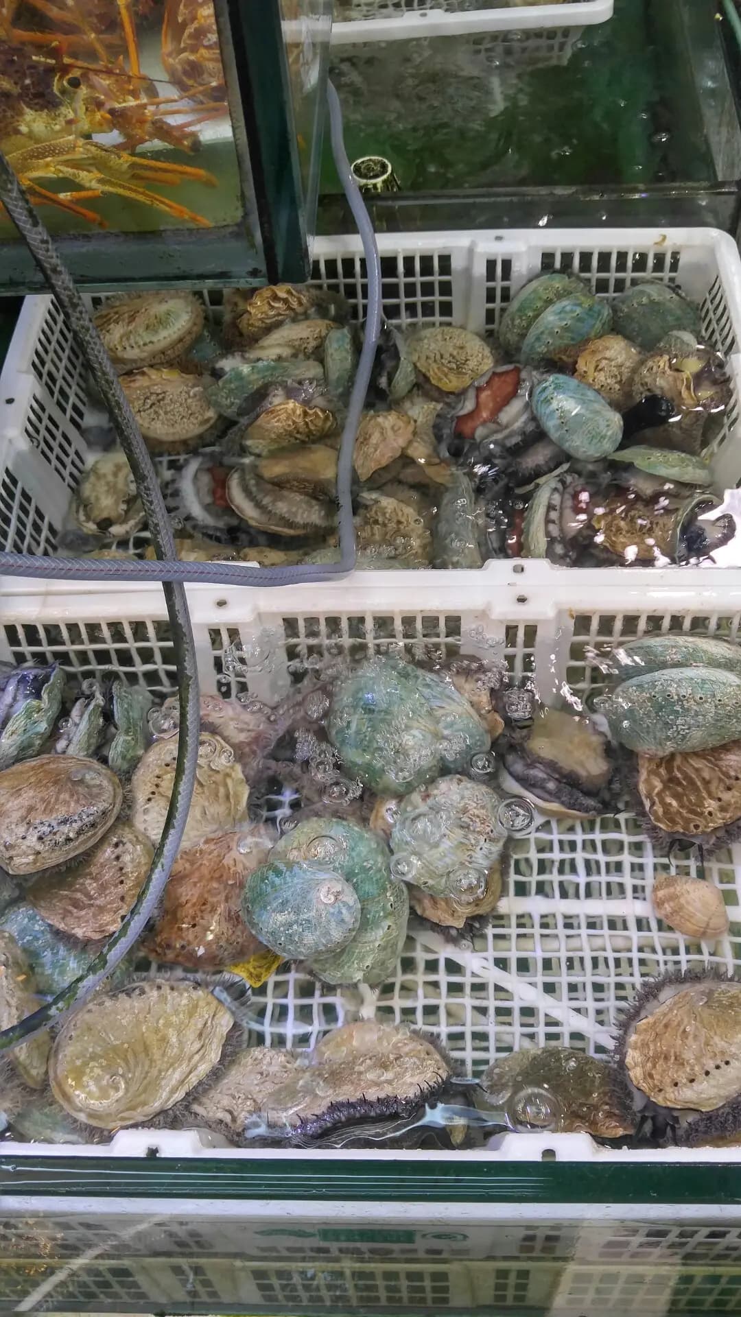 安記海鮮 photo 4