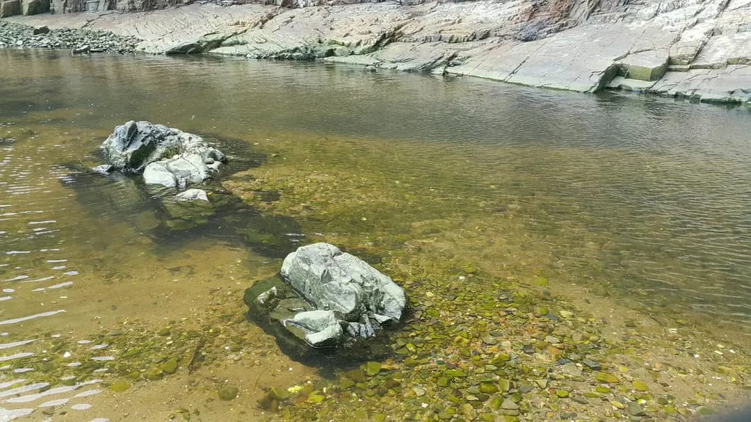 華聯 photo 7