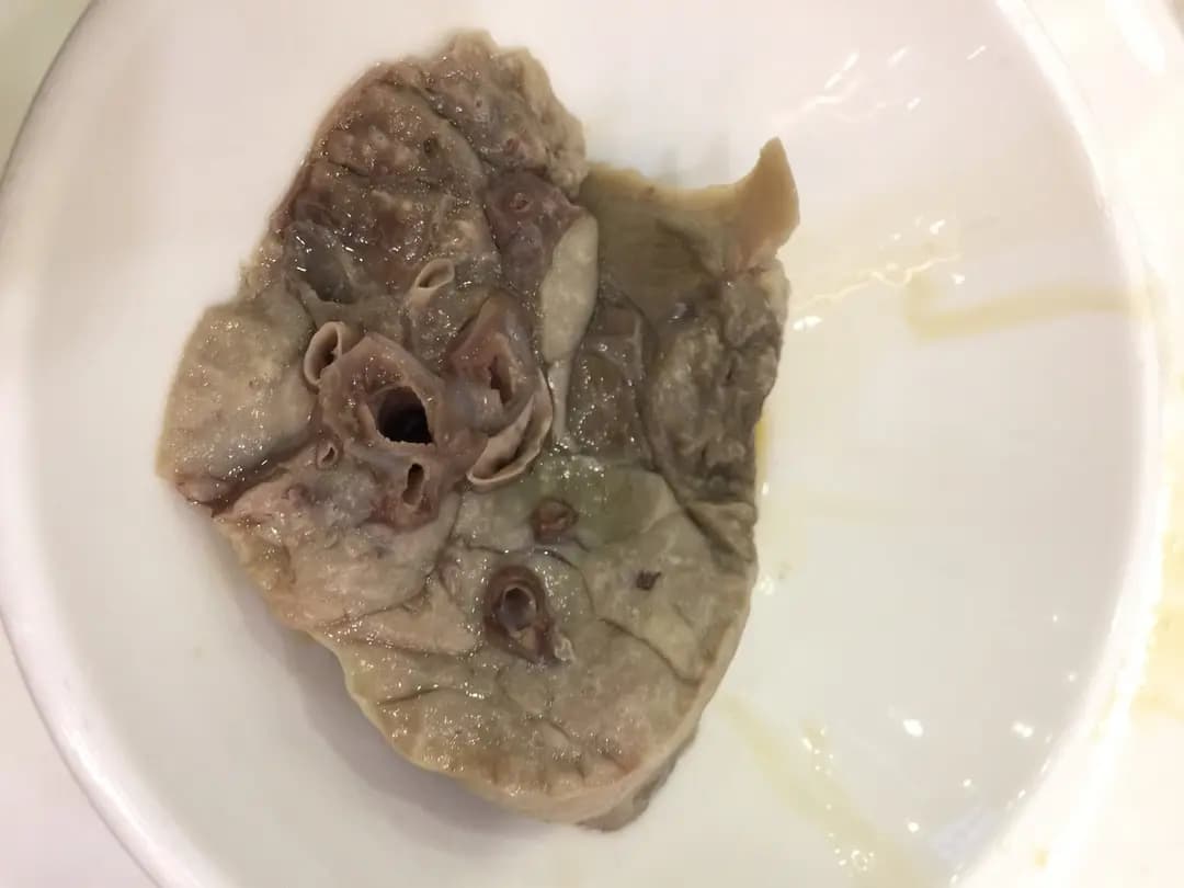 來發館海鮮火鍋刺身專門店 photo 3