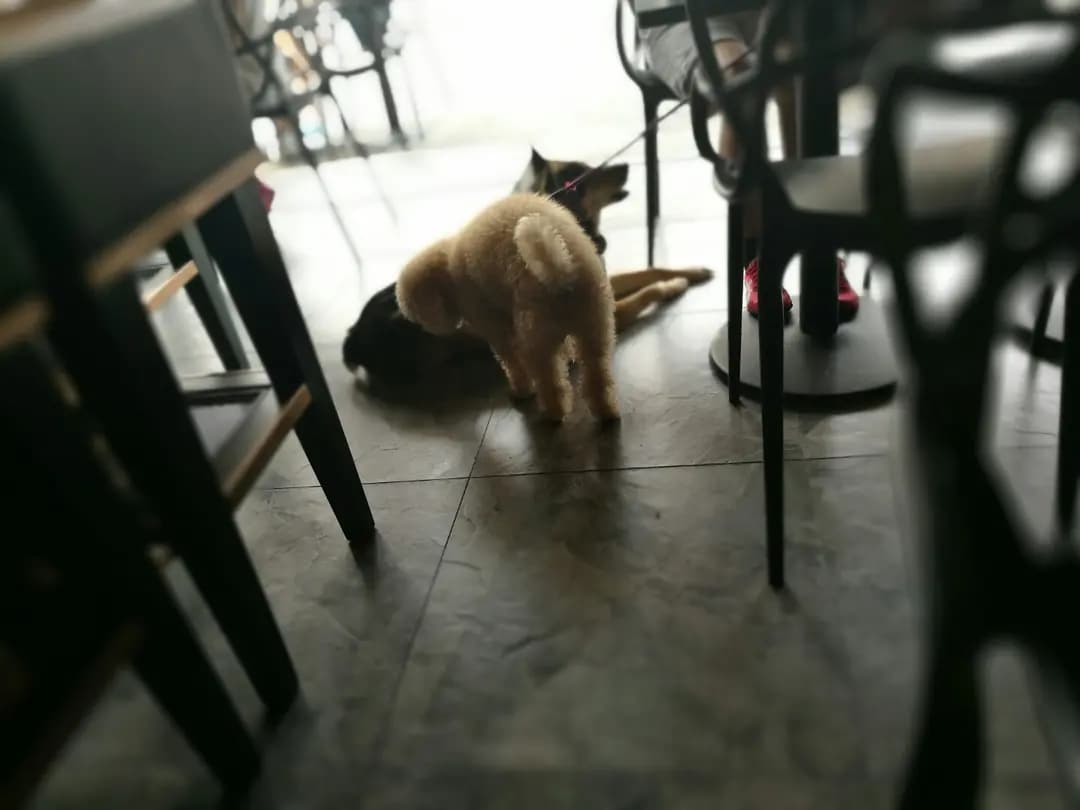 AT Restaurant & Bar photo 7