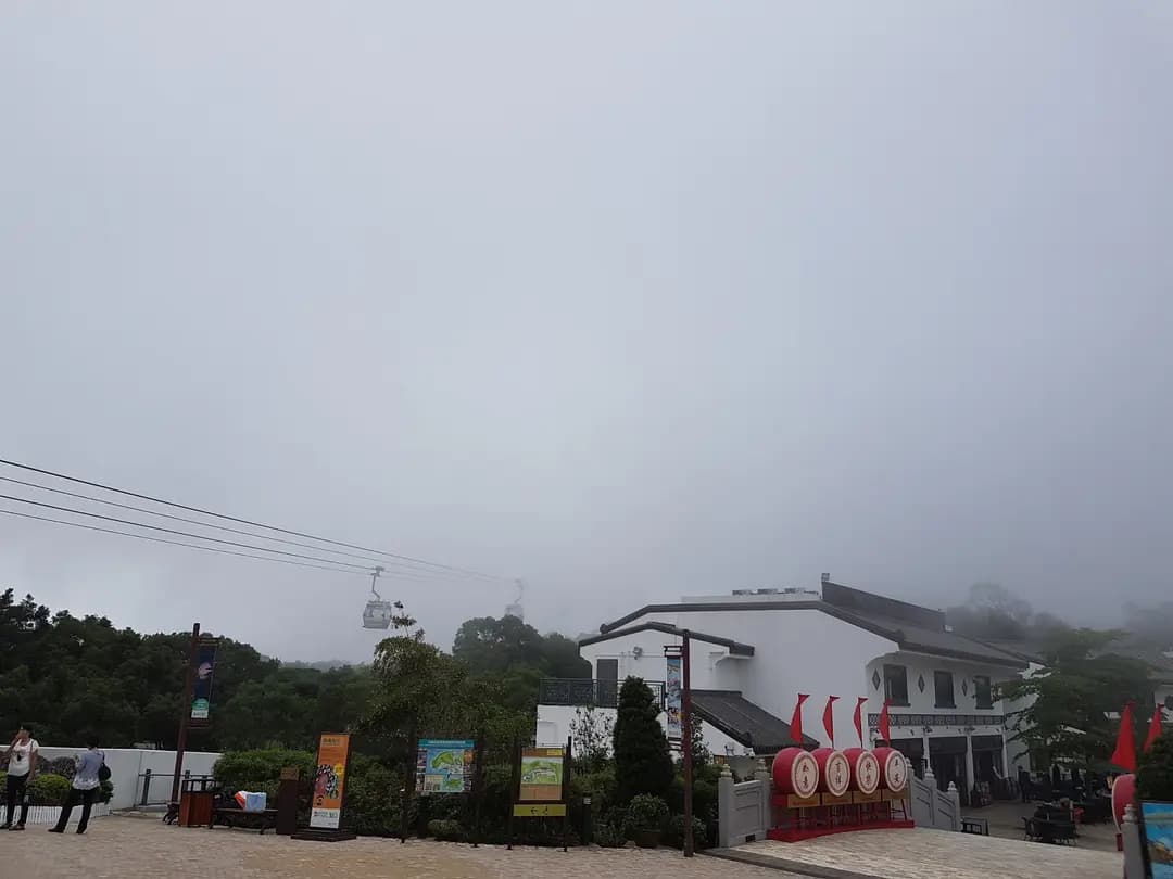 立農茗茶 photo 1