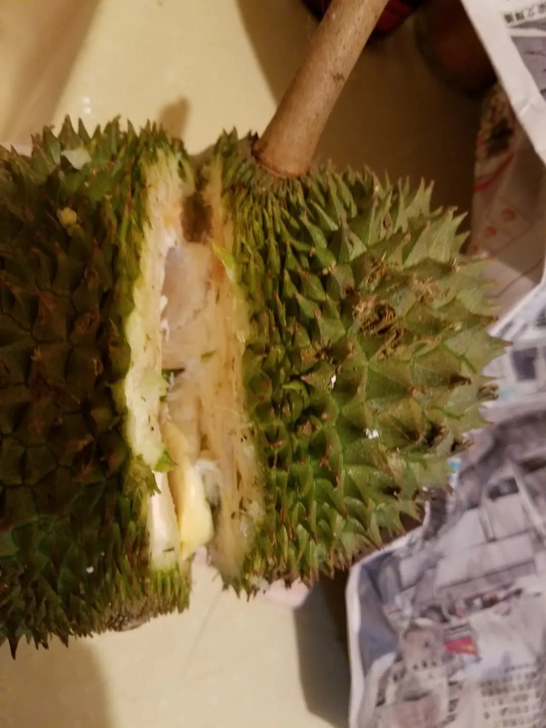 肥仔海南雞 photo 3