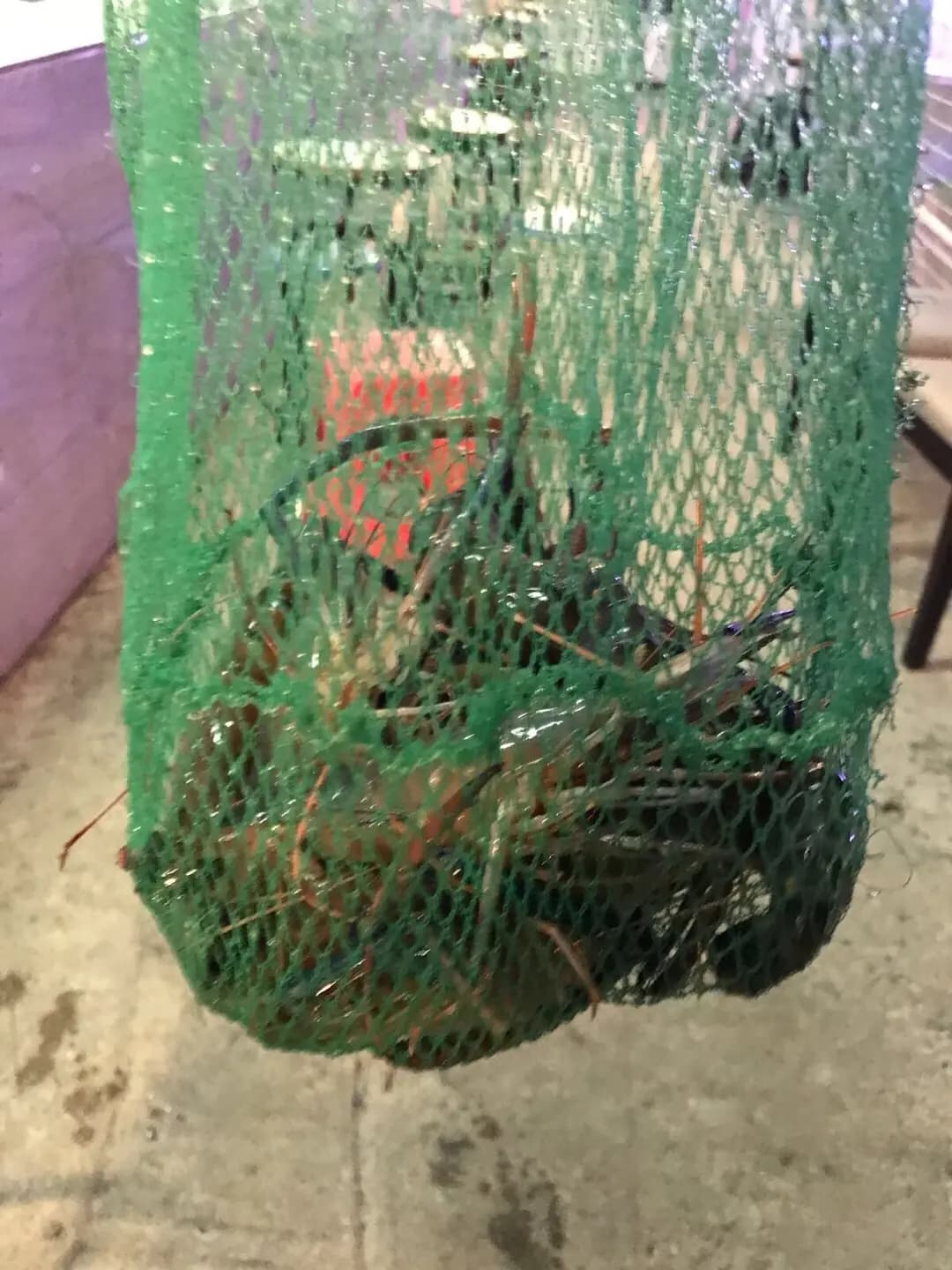 幸福山莊釣魚場 photo 7
