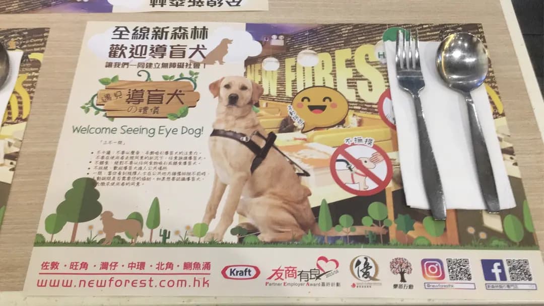 新森林焗之專門店 photo 2