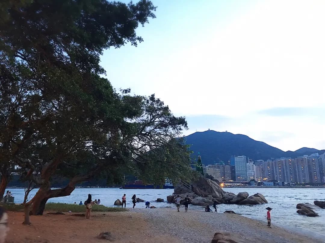 鯉魚門紹香園合桃果子專門店 photo 3
