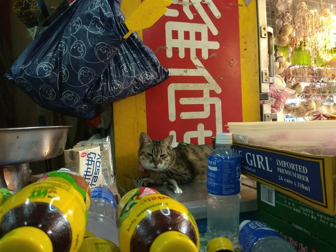 華鎽店 photo 4