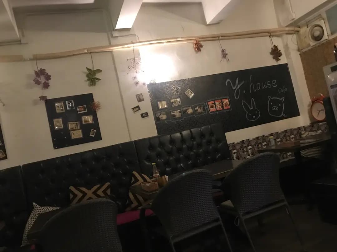 Y House Cafe photo 5