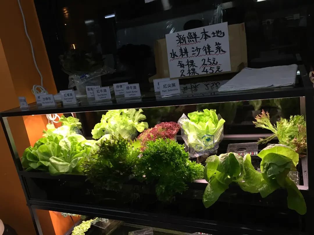 煥林粉麵食店 photo 4