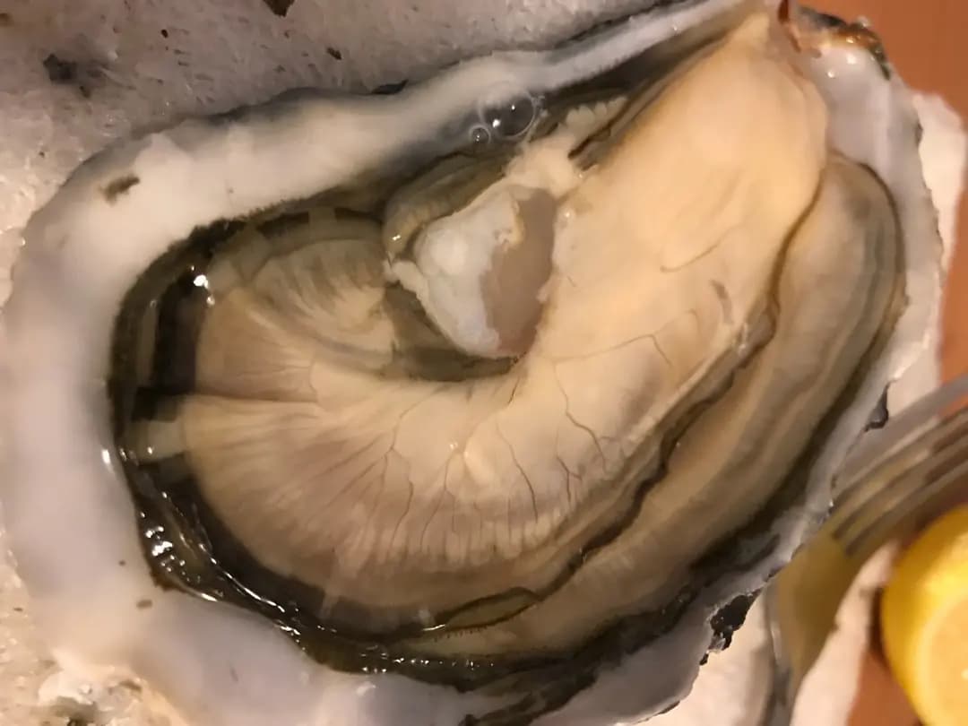 Oceanus 生蠔環球高級食材 photo 6