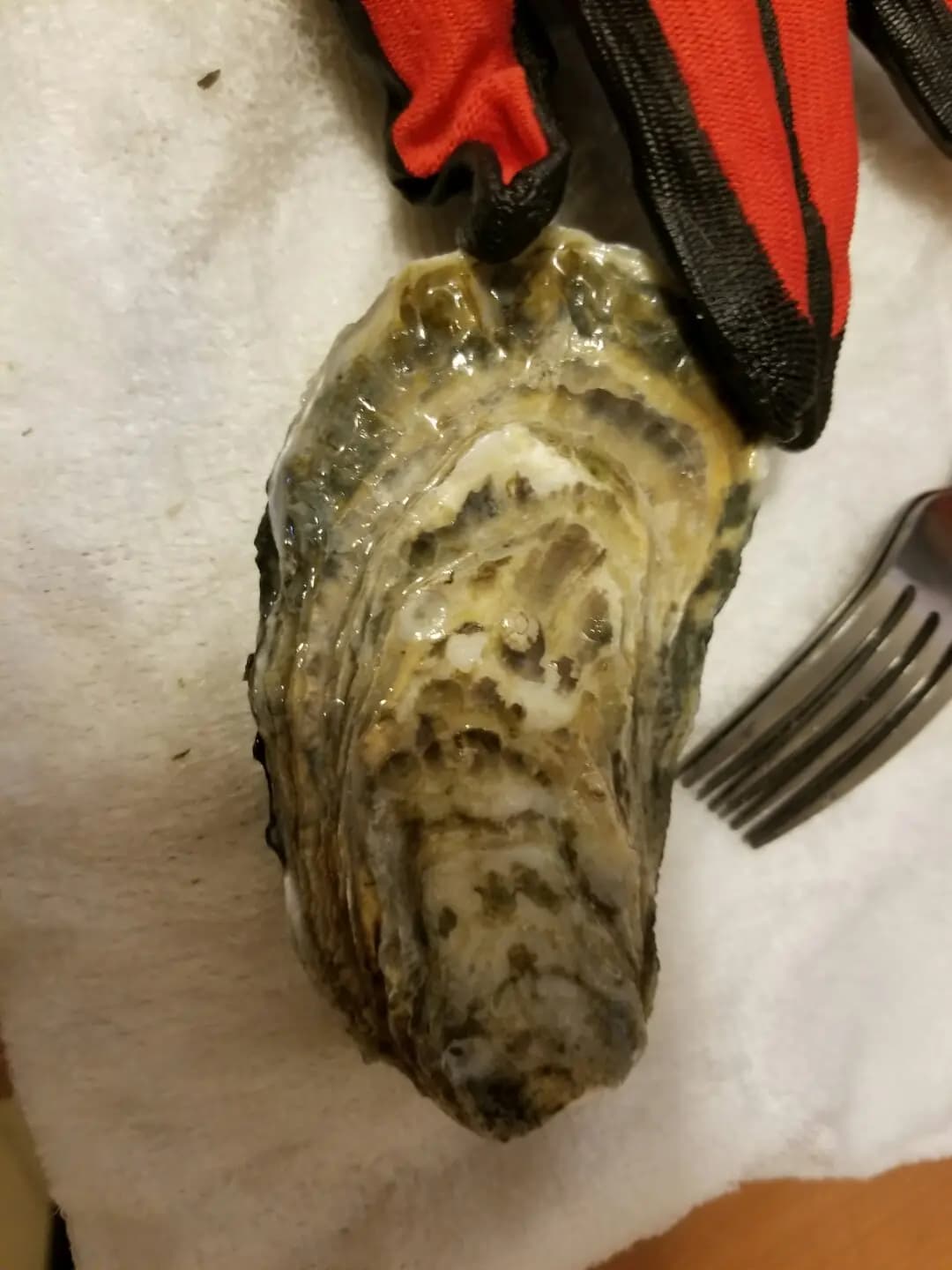 Oceanus 生蠔環球高級食材 photo 8