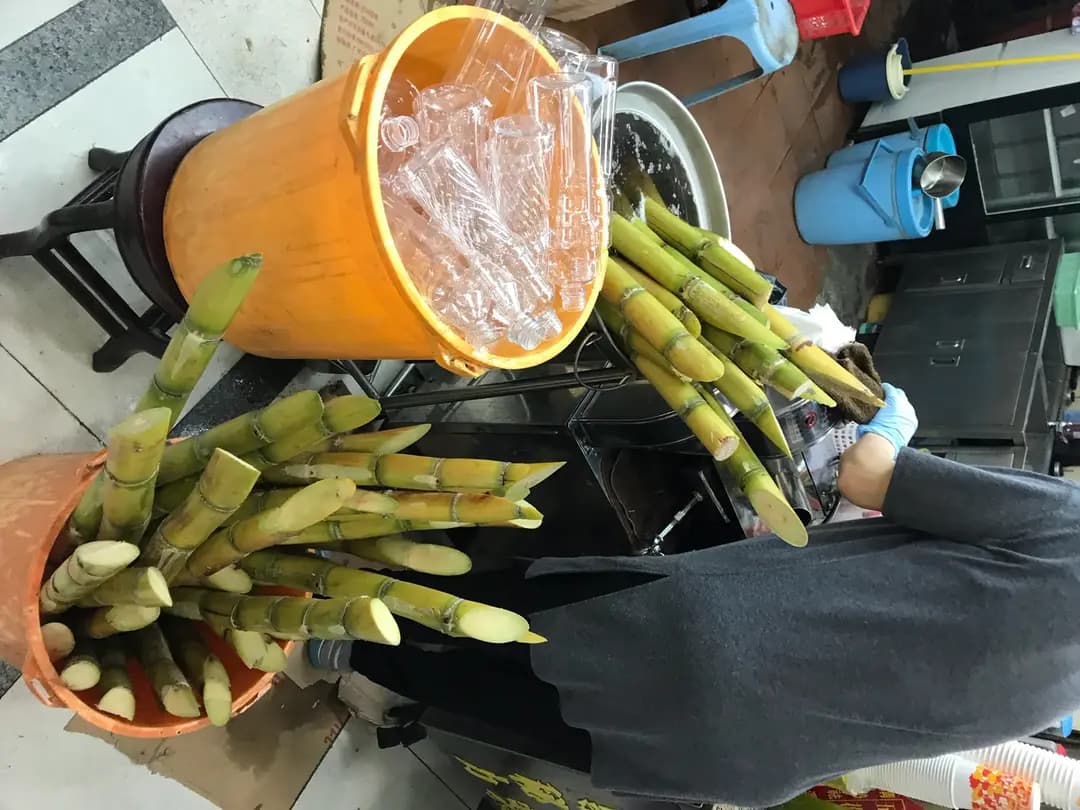 草津堂 photo 2