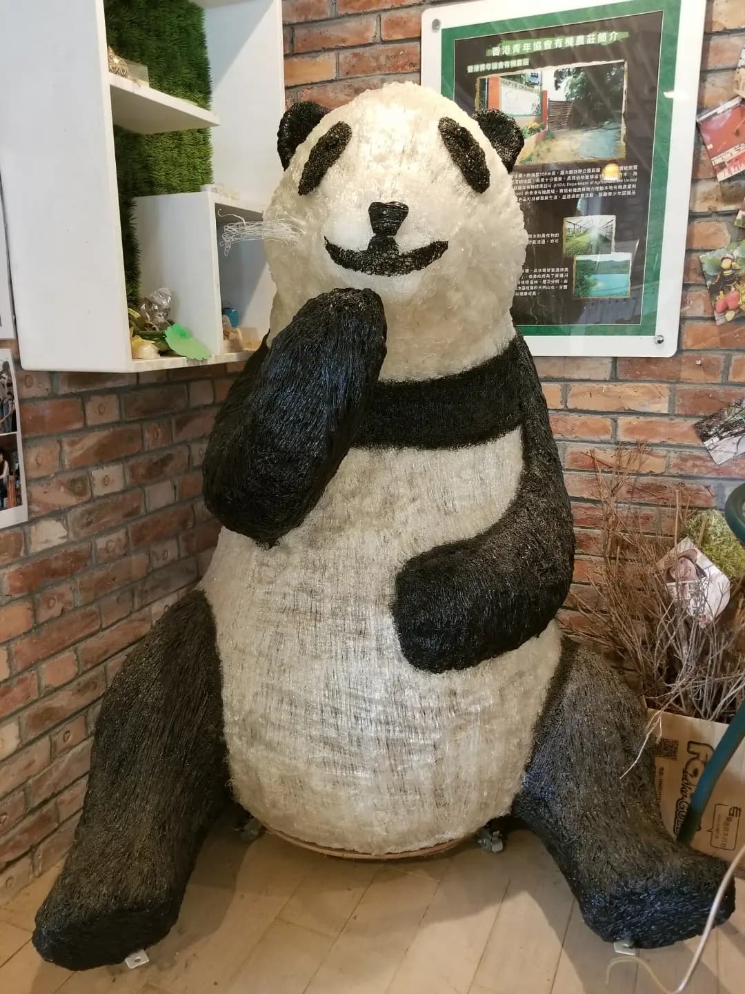 香港青年協會有機農莊 photo 3