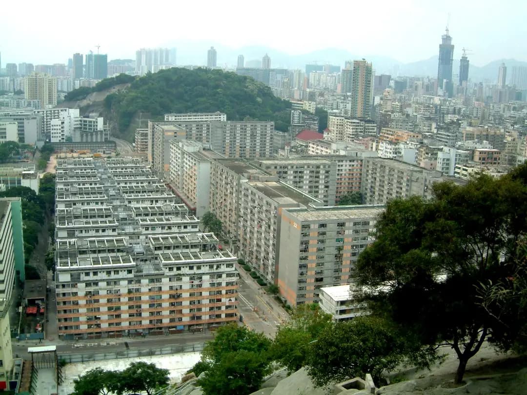 新金寶茶餐廳 photo 6