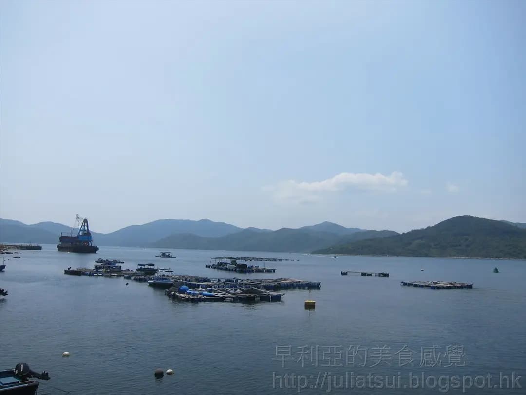 塔門新漢記海鮮酒家 photo 2