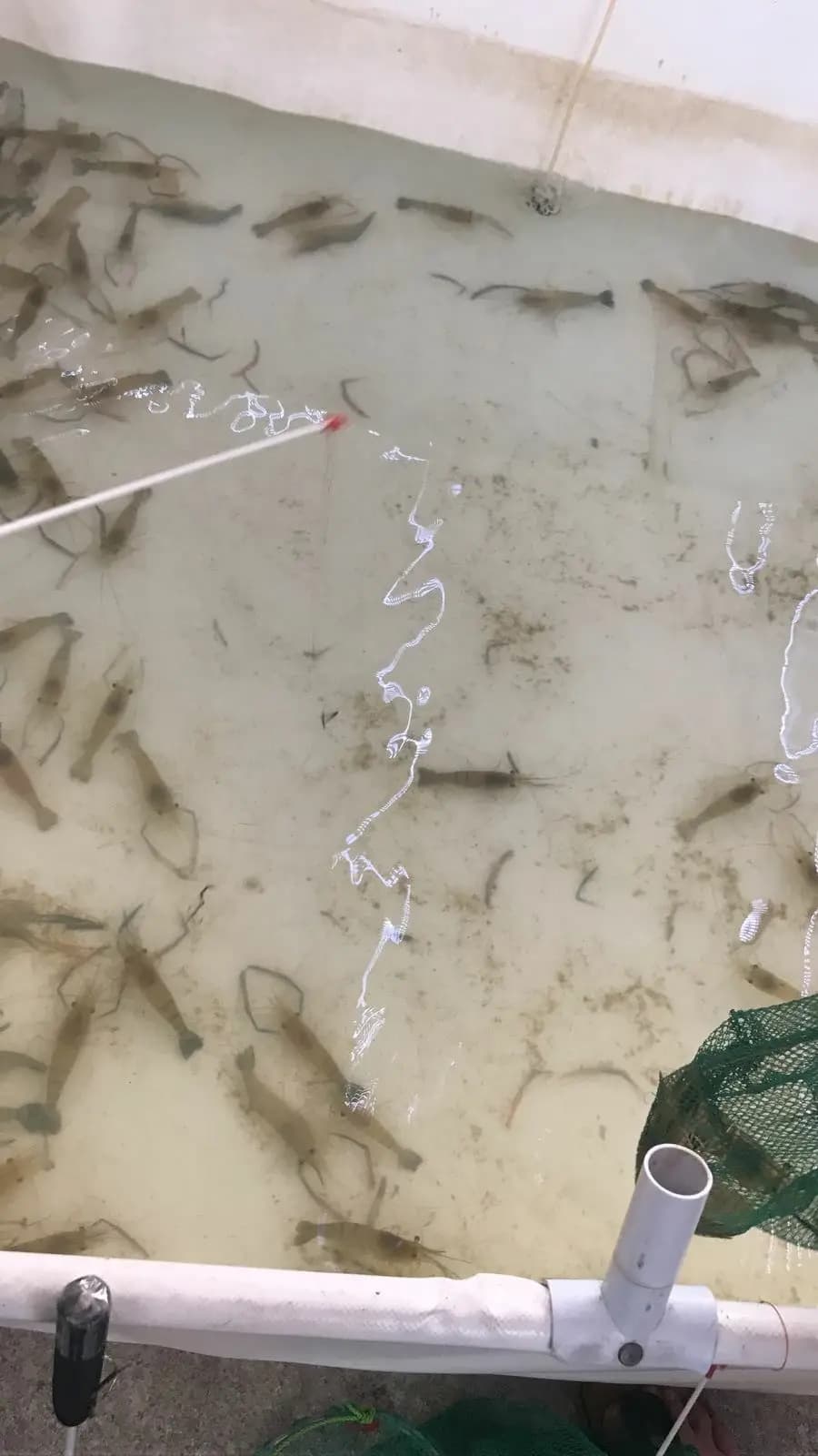 幸福山莊釣魚場 photo 8